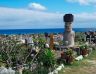 Moai on the local cemetery