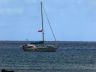 Jon and Michele's sailboat Ardea
